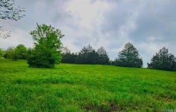 2132 Easy K Road, Sage, AR 72573