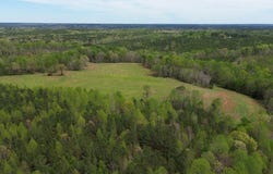 216 Doc Jones Trail, Warrenton, NC 27589