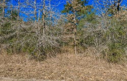 2113 County Road 278, Somerville, TX 77879