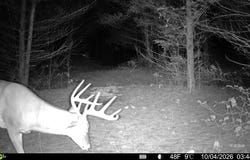 Twp Rd 329, Corning, OH 43730