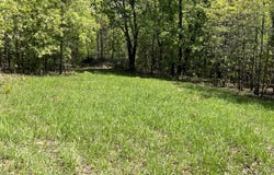 County Road P-309, Alton, MO 65606