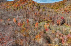 Pearl Way, Burnsville, NC 28714