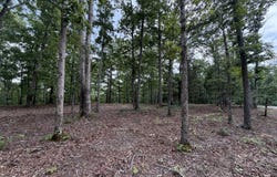 Highway 50 E 1,2&3, Centerville, TN 37033