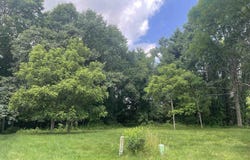 Donna Lane, Dryden, MI 48428