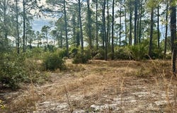 Sweet Gum Ln, Cedar Key, FL 32625