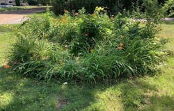 44481 Dunn Road, Belleville, MI 48111