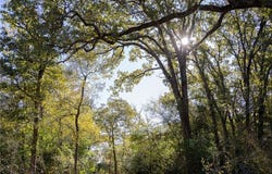 Isaiah Estates, Bryan, TX 77808