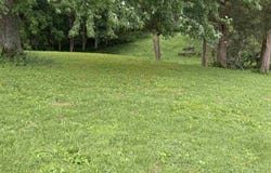 2277 S 1025 W, Lyons, IN 47443