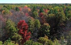 Timber Trail, Prescott, MI 48756