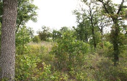 D69 Hensley Road, Gordon, TX 76453