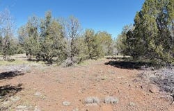 4176 N Double A Ranch Road, Williams, AZ 86046
