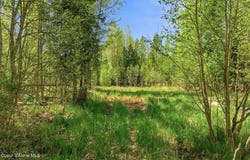 522 E Bronx Rd, Sandpoint, ID 83864