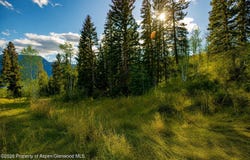 123 Wapiti Way, Basalt, CO 81621