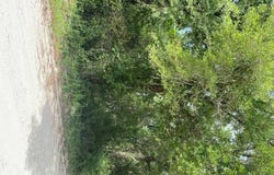 NE 808th, Old Town, FL 32680