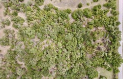 290 County Road 3679, Paradise, TX 76073