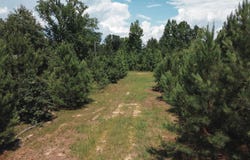HURST ROAD, Weston, LA 71251