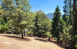 315 Weisshorn Drive, Crestline, CA 92325