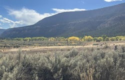 Road 41, Mancos, CO 81328