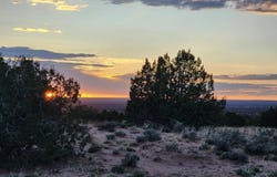 N Drive, St Johns, AZ 85936