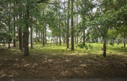 36 Red Knot Road, Bluffton, SC 29910