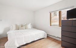 425 Park Circle, Aspen, CO 81611