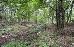 Flat Iron Road, Hunt, NY 14846