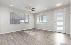 244 Veronica Dr, Windsor, CO 80550
