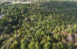 County Road 3470, Hawkins, TX 75765
