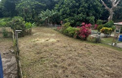 Daguao, Naguabo, PR 00718
