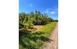 68 Southern Spruce Trail, Broken Bow, OK 74728