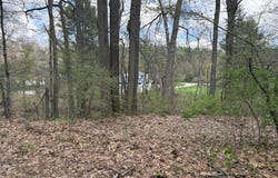 8091 Poplar Drive, Reading, MI 49274