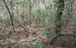 315 Falcon Crest Way, Pickens, SC 29671