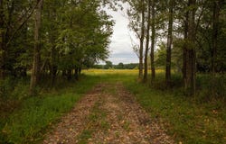W7264 County Rd E, Westfield, WI 53964