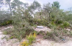 325 Brant Avenue, Sebring, FL 33870