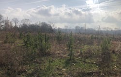 Tommy Ford Road, Utica, MS 39175