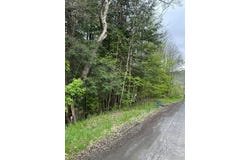 116 Oregon Rd, Butternuts, NY 13776