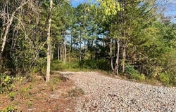 Nc 56 Highway, Castalia, NC 27816