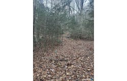 425 Colebrook River Road, Colebrook, CT 06021