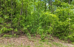 Ragans Pointe, Columbus, NC 28722