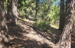 Grass Valley, Lake Arrowhead, CA 92352
