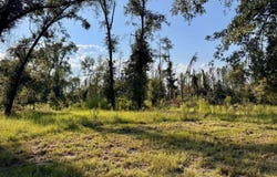 LT 2F SW 52ND LANE, Jasper, FL 32052