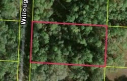 7352 WILLOUGHBY Drive, WEBSTER, FL 33597