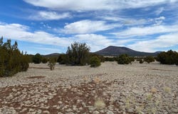 7378 Tulip Trail, Williams, AZ 86046