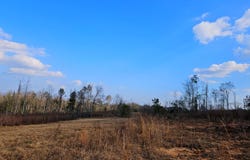Hwy 35, Collins, MS 39428