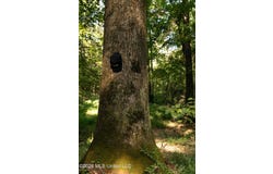 Hwy 433 S, Benton, MS 39039