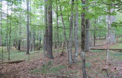 38 Algonquin Lane, Jay, NY 12941
