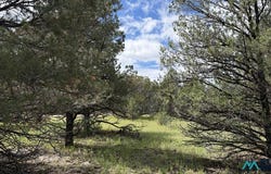 85 Largo Canyon Loop, Quemado, NM 87829