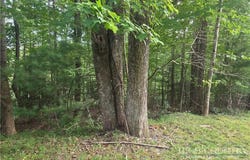 Powder Horn Estates Drive lot: 111R, Deep Gap, NC 28618
