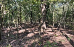 FM 114, DeKalb, TX 75559