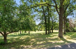 5164 State 210 SW, Pillager, MN 56473